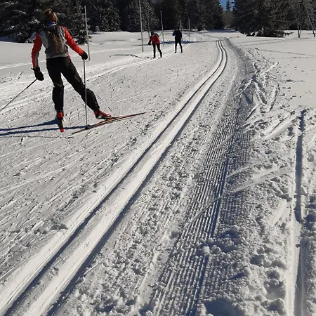 Alpesi faház Ema *
