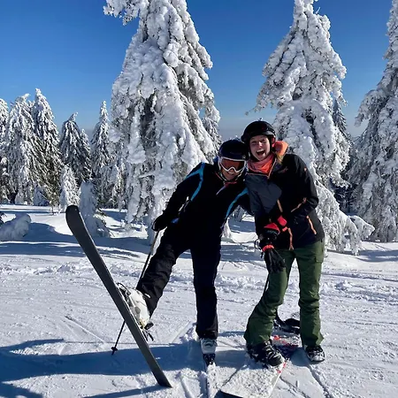 Ema Domek alpejski *